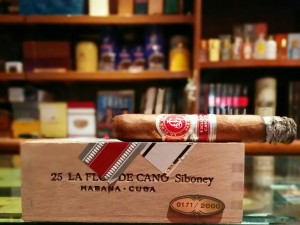 Flor de Cano Siboney Canada 1