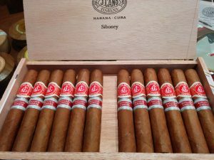 Flor de Cano Siboney Canada 1