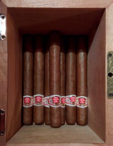 Hoyo de Monterrey Antique Humidor Cigars 