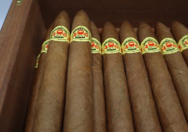 TUTORIALS - How To Season A Cigar Humidor